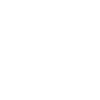 Data icon